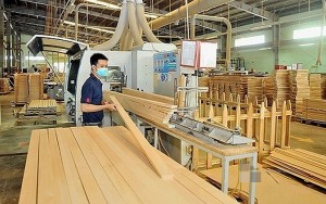 Cat Tuong Woodworking Joint Stock Company is allowed to export rubber wood in sheets with the tax rate of 0%
