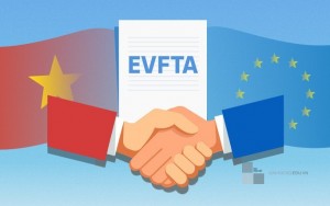 Tóm tắt Nghị định thư 1 EVFTA