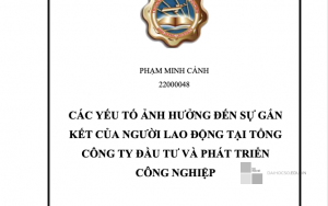 CÁC YẾU TỐ ẢNH HƯỞNG ĐẾN SỰ GẮN KẾT CỦA NGƯỜI LAO ĐỘNG TẠI TỔNG CÔNG TY ĐẦU TƯ VÀ PHÁT TRIỂN CÔNG NGHIỆP